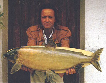 Record photograph for Coregonus lavaretus